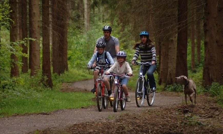 Image 2: Sheffield Bike & eBike Adventure - Explore the Famous Landscapes