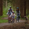 Image 2: Sheffield Bike & eBike Adventure - Explore the Famous Landscapes