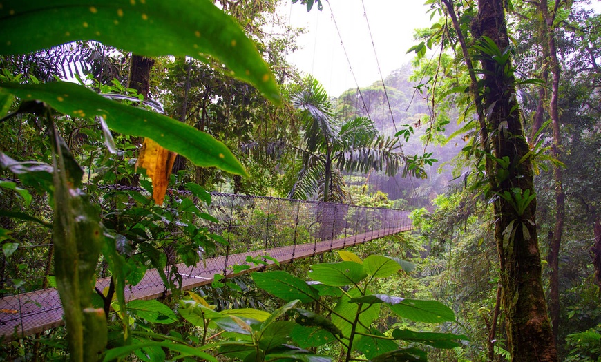 Image 11: ✈ COSTA RICA | San José - Il Costa Rica a basso costo 3*, 12 notti ...