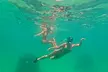 Hollywood, FL: Snorkel, Kayak & Paddleboard W/ Reefs & Sculptures - Second Medium