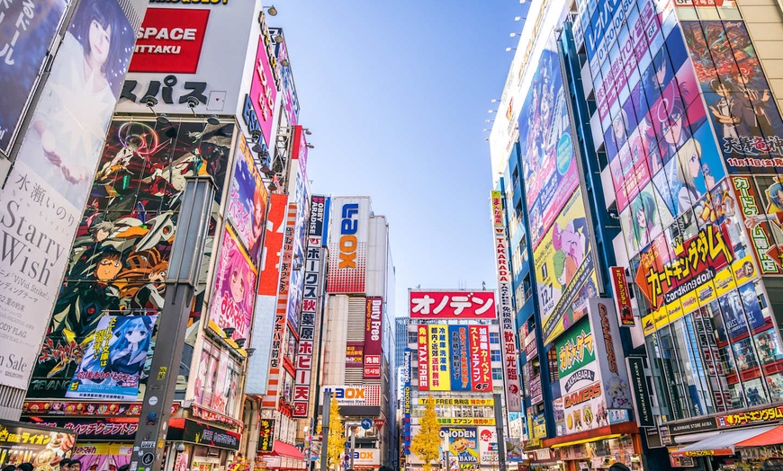 Image 40: ✈ JAPON | De Sapporo à Tokyo - A la découverte de Hokkaido 3* - Cir...