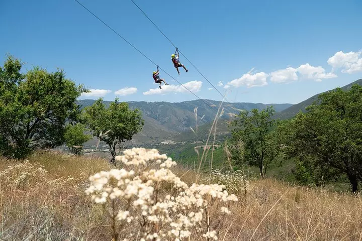Zip Zoom Ziplines at La Jolla Indian Adventure Park