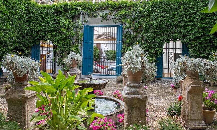 Image 6: Visita Guiada al Palacio de Viana