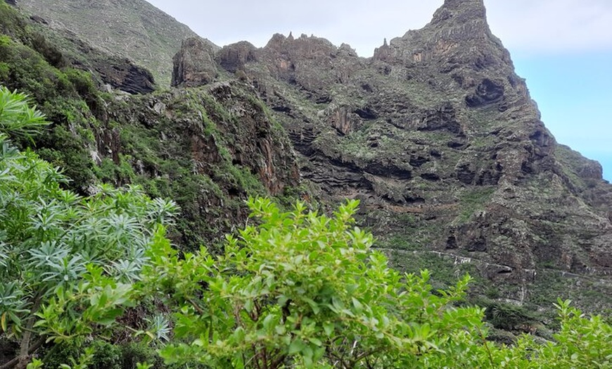Image 9: Senderismo en el cañón de Cuevas Negras en Tenerife