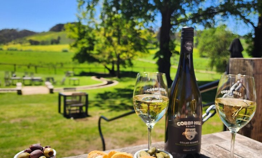 Image 7: Premium Adelaide Hills Full Day Shore Tour Cruise Port Pick-up