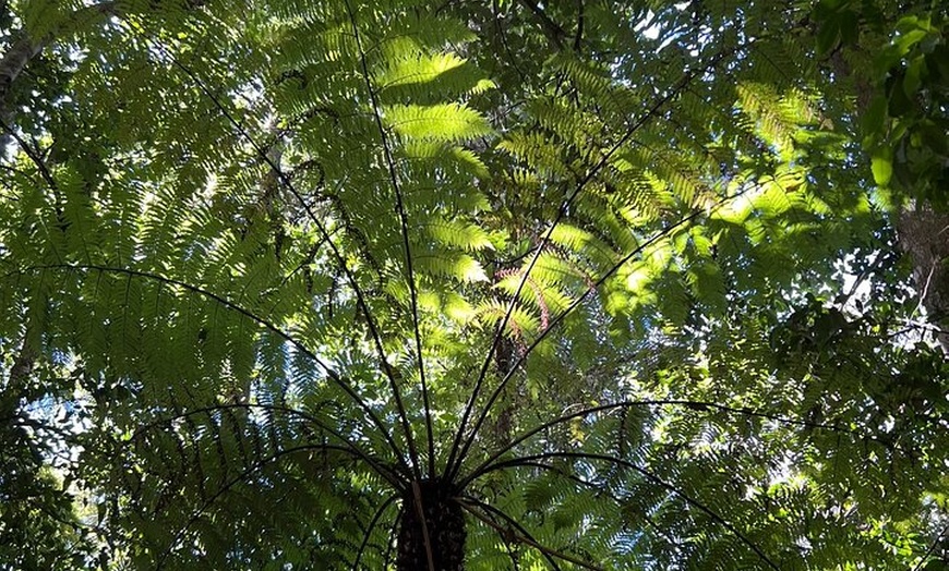 Image 21: Blue Mountains Private Tour -Scenic World Inc -Pick up & Drop off