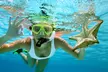 Half Day Fish & Snorkel Key Largo - Second Medium