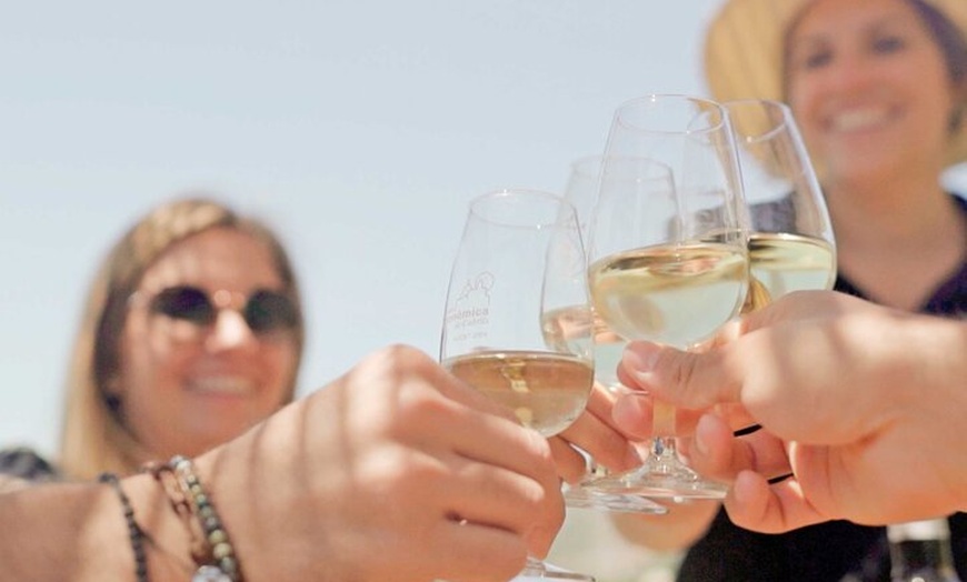 Image 3: Desde Málaga: Ronda, Cata de vinos y aceites de oliva Premium Grupo...