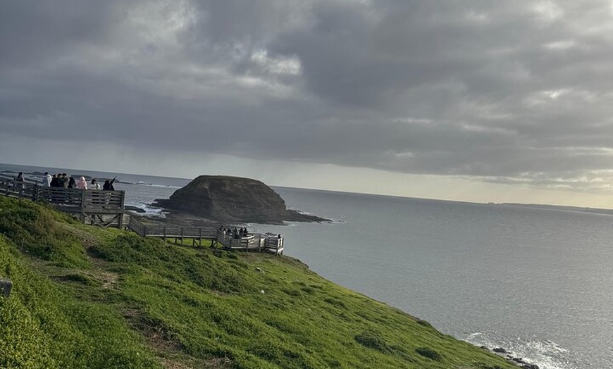 Image 13: Phillip Island and Moonlit Sanctuary Premium Day Tour Small group