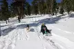 Ultimate Snowplay Adventure at Mount Charleston - Second Medium