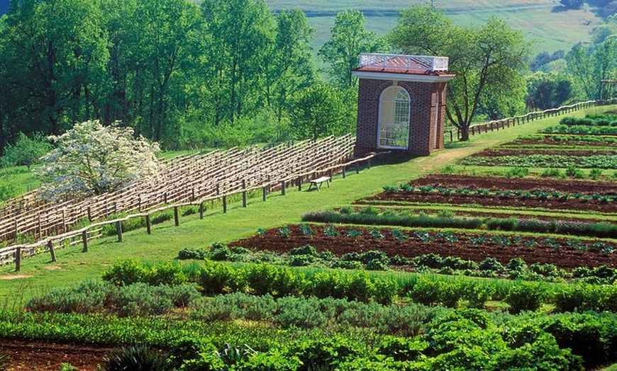 Image 7: Monticello, VA Private Tour