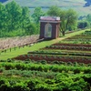Image 7: Monticello, VA Private Tour