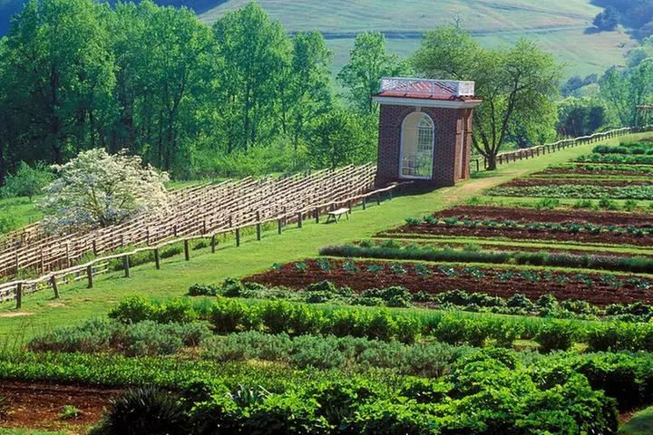 Monticello, VA Private Tour