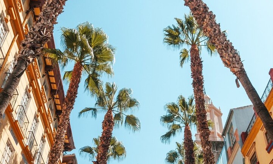 Image 7: Explora Marbella en 60 minutos con un Local
