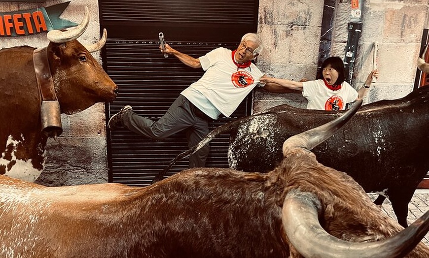 Image 2: Tour privado por Pamplona con almuerzo en Tolosa