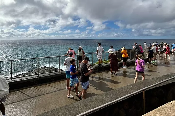 Full Day Oahu Circle Island -Turtle Beach Snorkel at North Shore