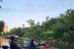 Downtown Houston Bat and Skyline Kayaking Tour - Second Medium