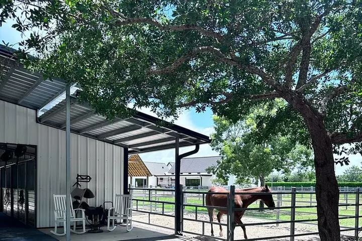 Horseback Riding in Miami