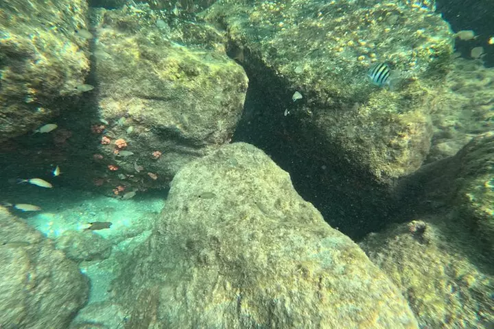 Experience Peanut Island Adventures with Go Pro