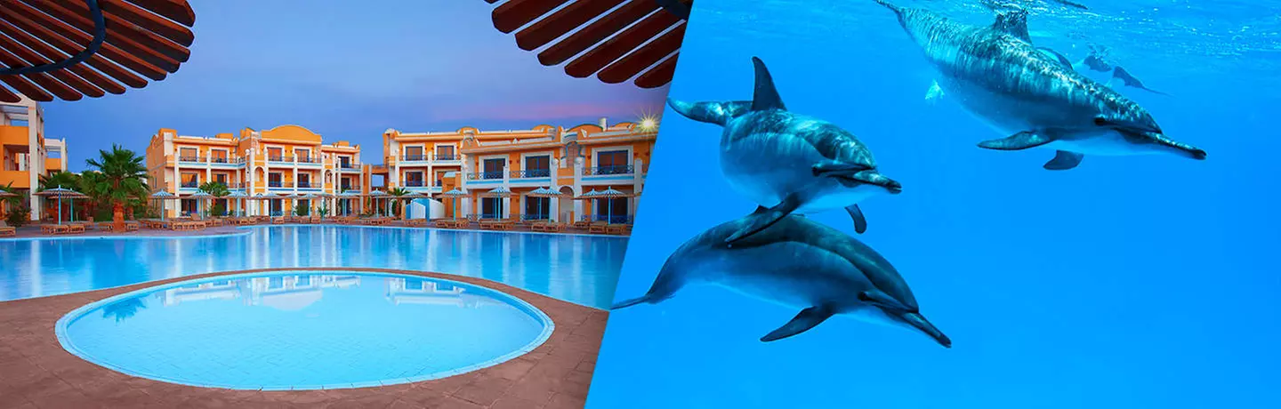 ✈ ÄGYPTEN | Hurghada - Mirage Bay Resort & Aqua Park & Delfinbeobachtungs-Kreuzfahrt und Schnorcheln 4*, 3 Nächte - All-inclusive - Primary Image