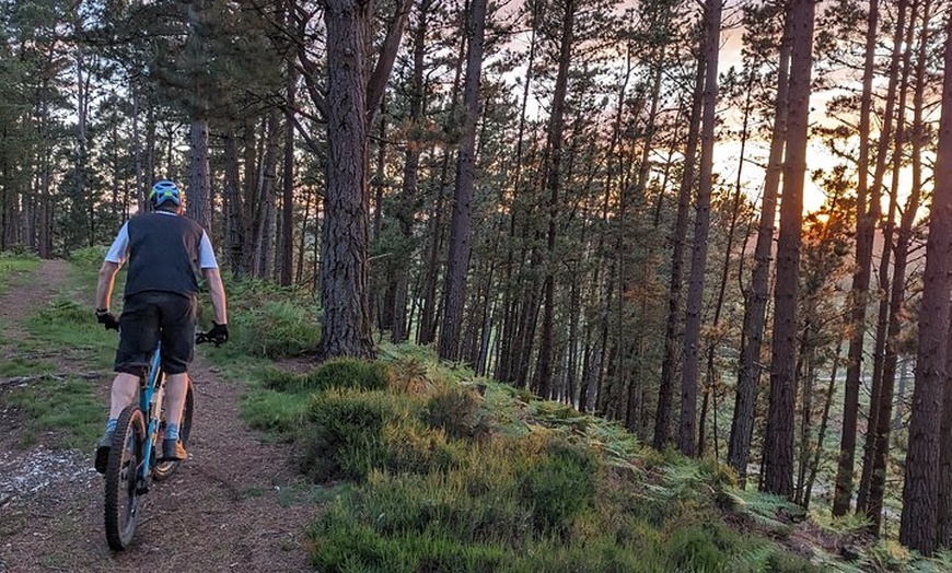 Image 3: E-Bike excursions from Wareham, Dorset