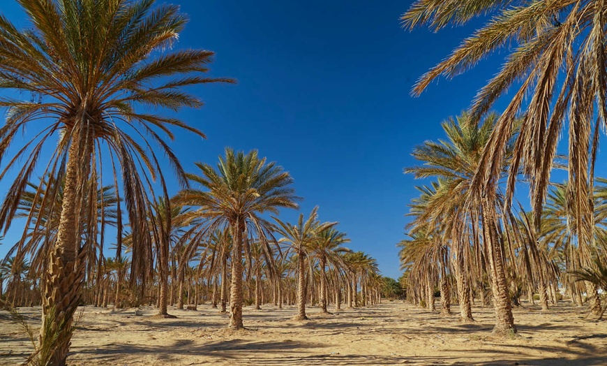 Image 10: ✈ TUNISIE | Tozeur - Sous les étoiles du Sahara – Réveillon tunisie...