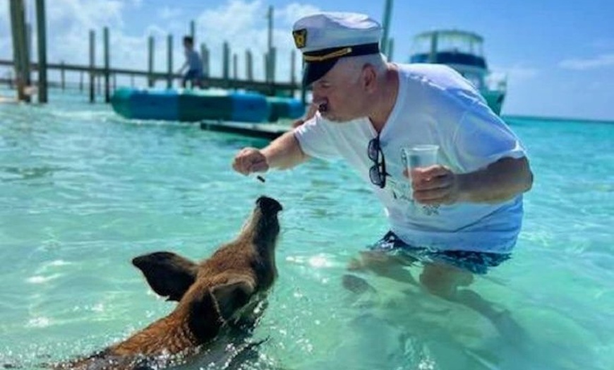 Image 19: Rose Island Snorkeling, Lunch, Rum Punch and Swimming Pigs