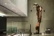 9/11 Memorial Tour with Museum and One World Observatory Options - Second Medium