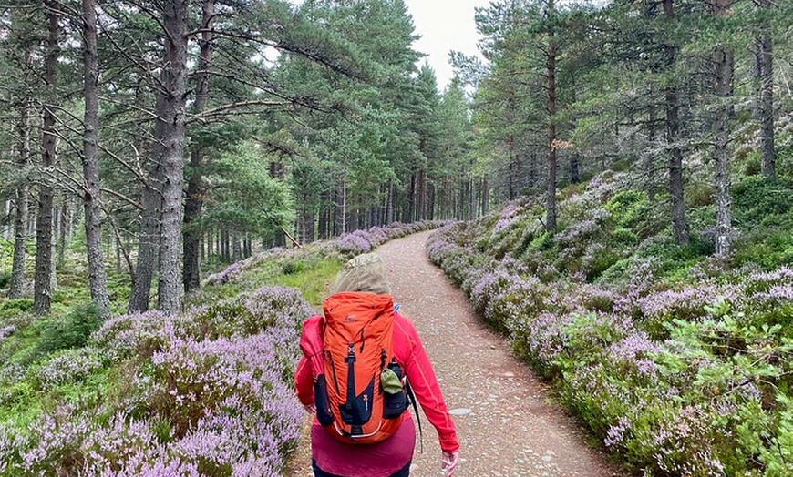 Image 4: Scottish Highlands Walking Small Group Tour from Edinburgh
