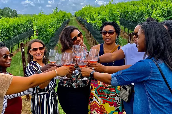 Wine Tasting Experience in Georgia - Primary Image