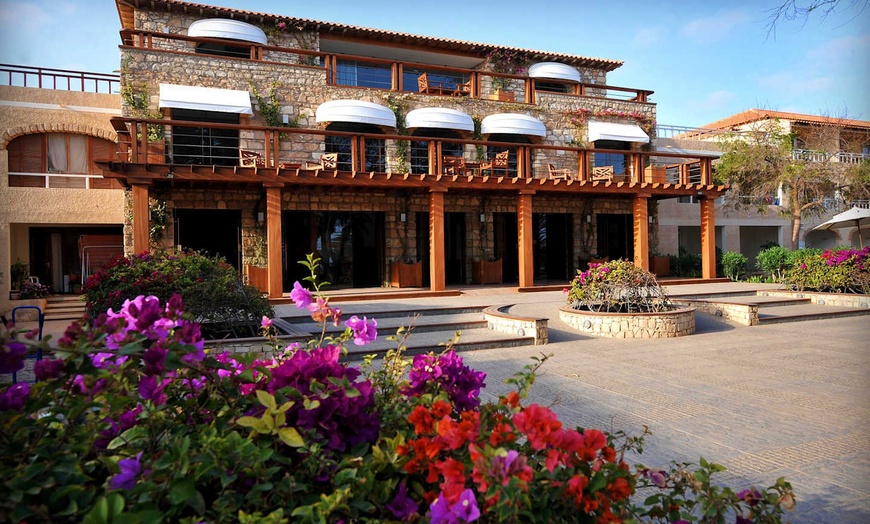 Image 16: ✈ ILE DE SAL | Santa Maria - Hotel Morabeza 4*, 5 nuit - Bord de mer