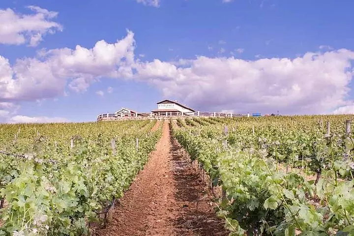 Cata de vinos Ronda con tapas en un viñedo pintoresco - Primary Image