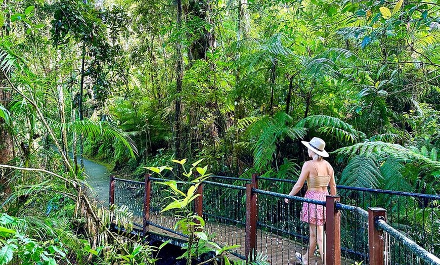 Image 7: Shore Excursion: Josephine Falls Half Day Adventure