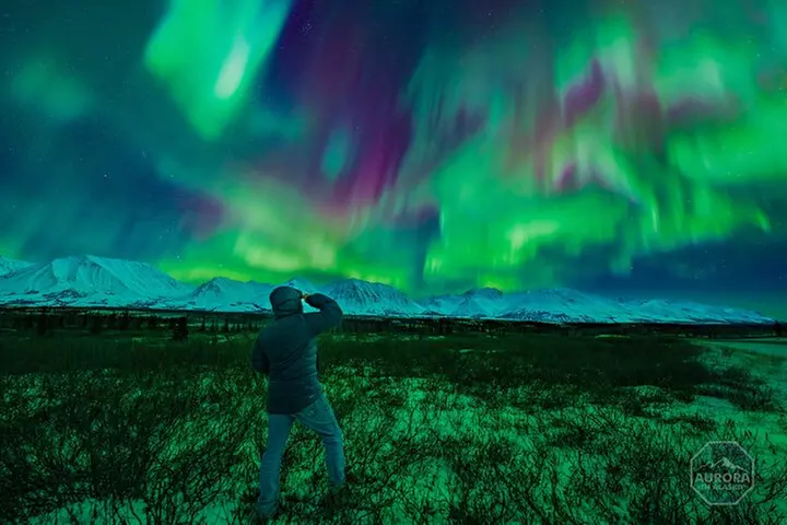 SkyChase™ | Northern Lights Experience - Free Photography & More