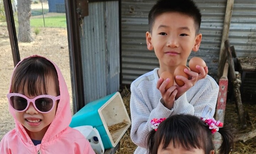 Image 6: Boshack Farm - Animal, Wildlife, Stargazing Nature Aussie culture