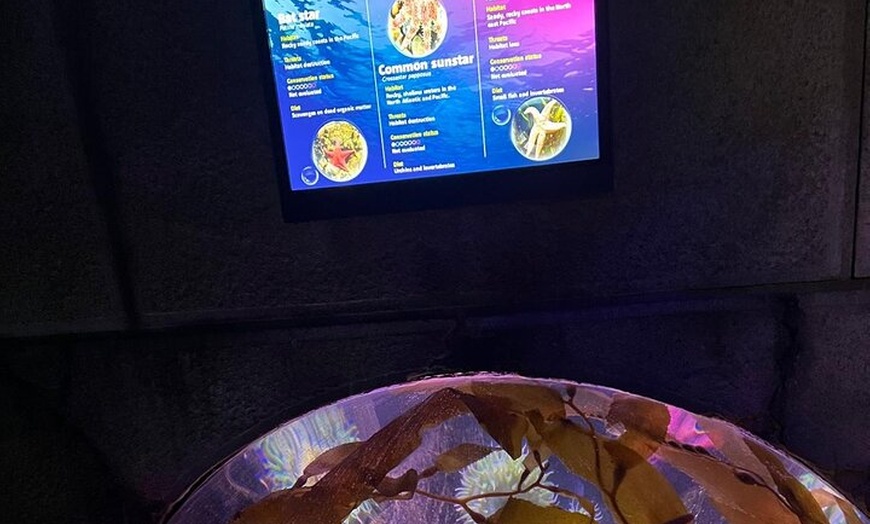 Image 16: Luxury Private Tour in London