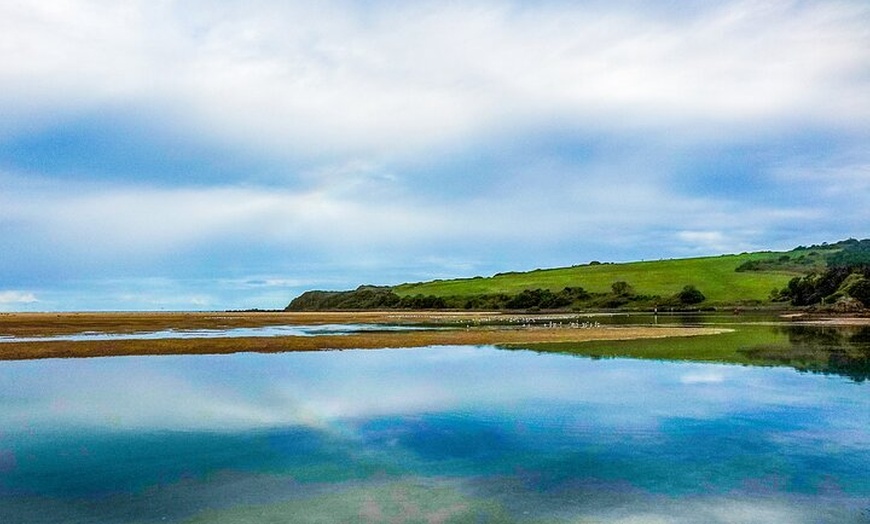 Image 12: Kiama Coastal Day Tour in Sea Cliff Bridge Blowhole and Wildlife