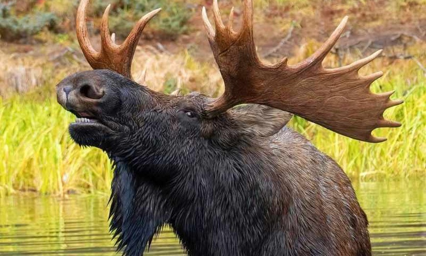 Image 10: ✈ CANADA | De Toronto à Montréal - Circuit Dans l'Est Canadien : Se...