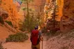 Bryce Canyon and Zion National Park Tour - Second Medium