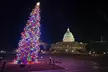 Holiday Lights & National Mall Night Tour with 10+ Stops, Tickets - Second Medium