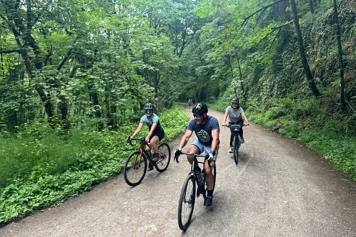 Forest Park Carbon Gravel Bike and E-Bike Tour