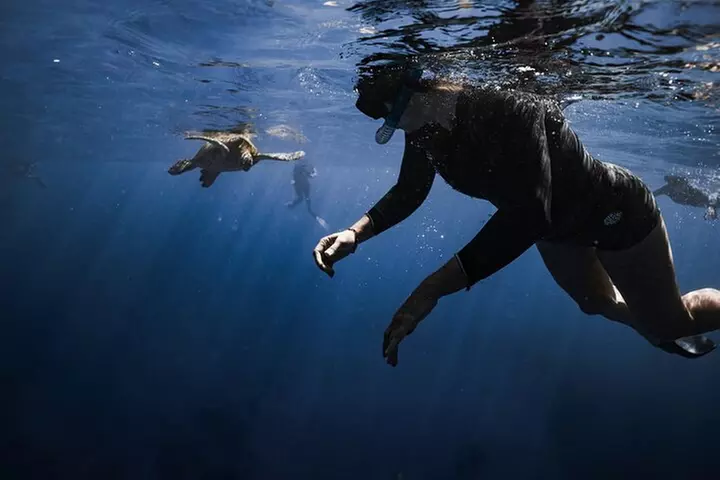 Turtle Canyon Snorkel in Waikiki, Oahu Semi Private