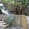 Image 16: 2 Days in Hot Springs Tolantongo Hotel and Private Transportation