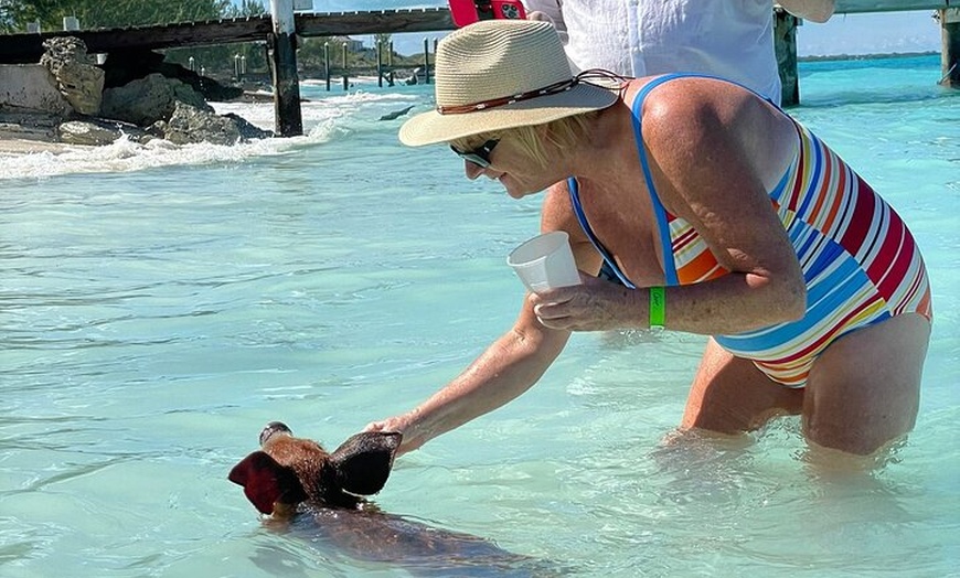 Image 3: Rose Island Snorkeling, Lunch, Rum Punch and Swimming Pigs