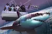 Field Museum Basic Admission Ticket Plus VR Experience - Second Medium