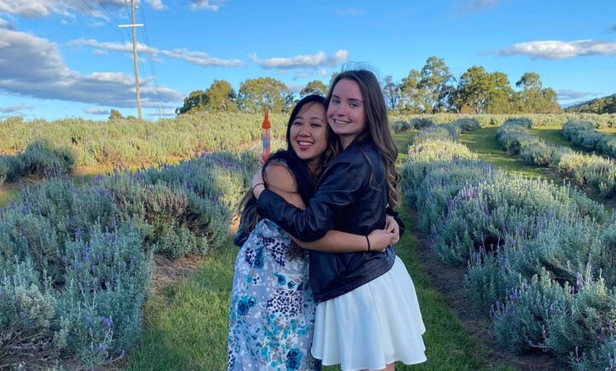 Image 3: Sirromet Winery Day Tour from Brisbane