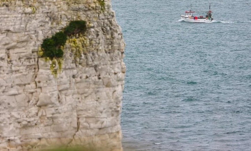 Image 4: Portland Shore Excursion to Jurassic Coast Highlights