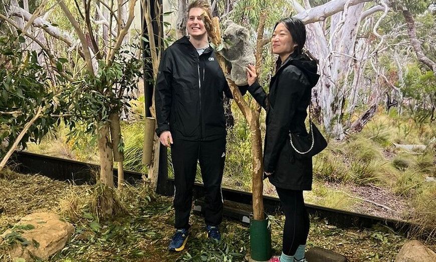 Image 4: Blue Mountains Private Tour -Scenic World Inc -Pick up & Drop off