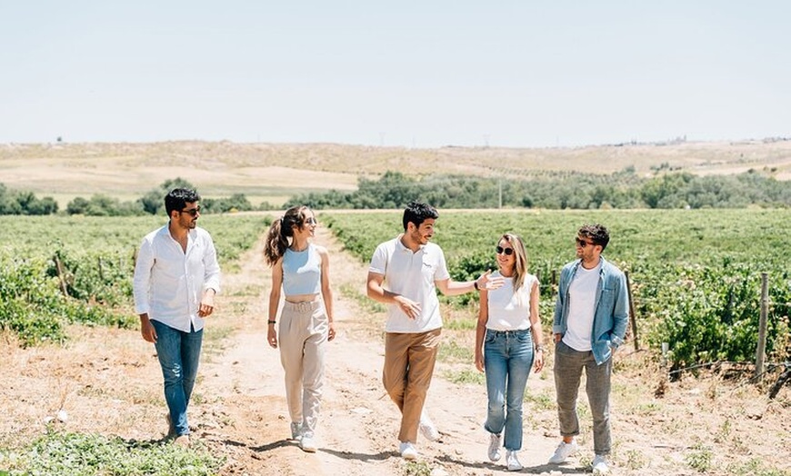 Image 10: Tour por Toledo y paseo por el viñedo con cata de vinos desde Madrid