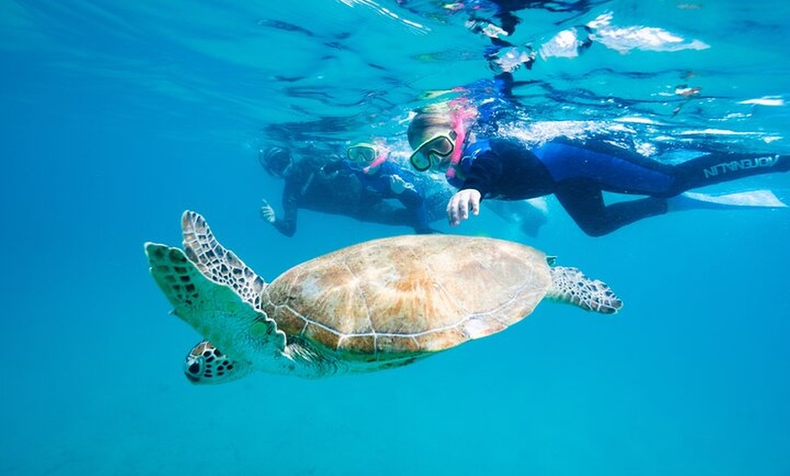 Image 4: Great Keppel Island Snorkel and Glass Bottom Boat Experience